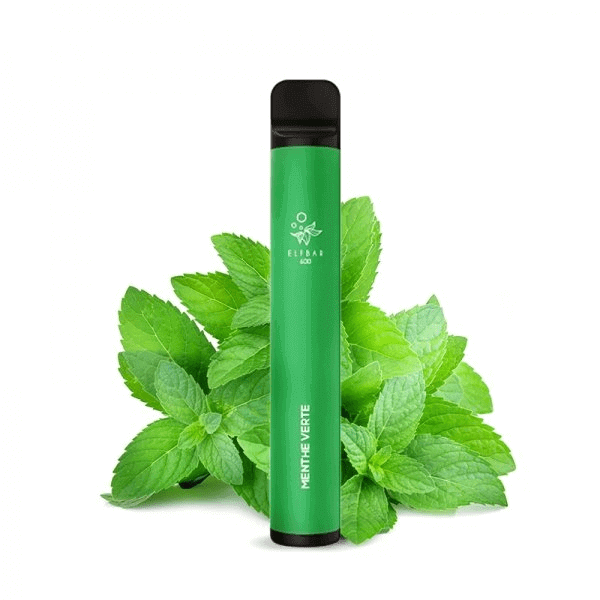 ELFBAR - Pod Jetable 600 Puffs-20 mg-Spearmint-VAPEVO