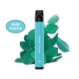 FLAWOOR MAX - Pod Jetable 2000 Puffs-0 mg-Menthol Premium-VAPEVO