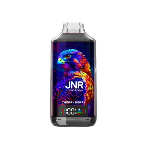 JNR Falcon-X - Pod Jetable 18000 Puffs 20mg-Cherry Berry-20 mg-VAPEVO