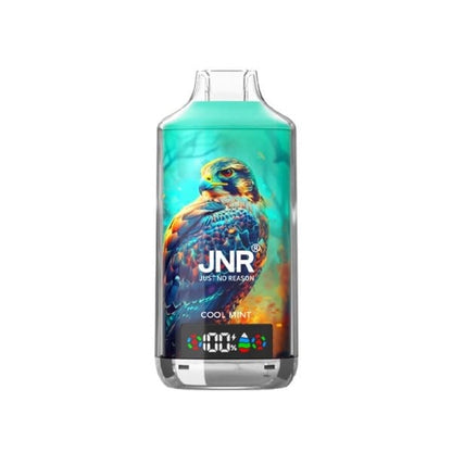 JNR Falcon-X - Pod Jetable 18000 Puffs 20mg-Cool Mint-20 mg-VAPEVO