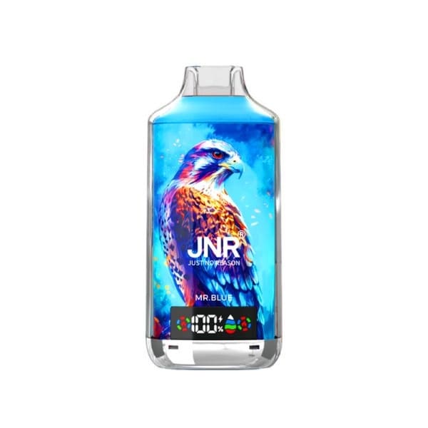 JNR Falcon-X - Pod Jetable 18000 Puffs 20mg-Mr Blue-20 mg-VAPEVO