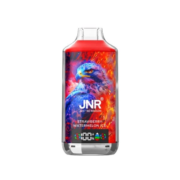 JNR Falcon-X - Pod Jetable 18000 Puffs 20mg-Strawberry Watermelon Ice-20 mg-VAPEVO