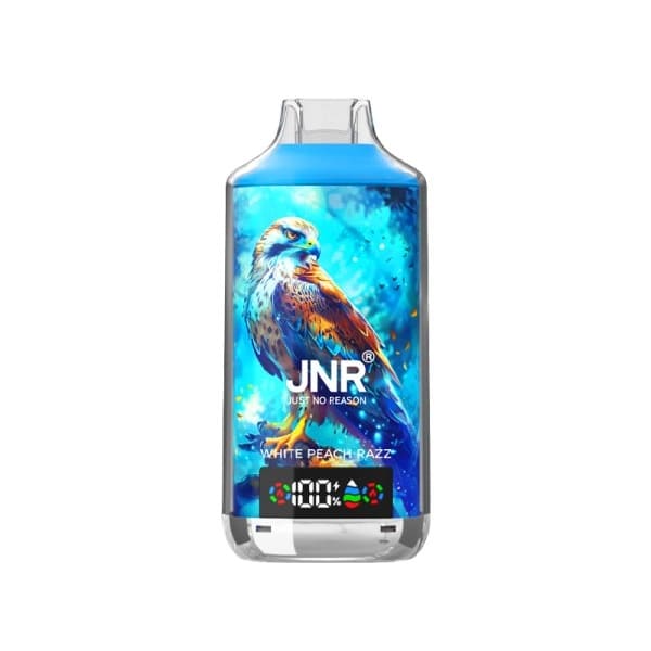 JNR Falcon-X - Pod Jetable 18000 Puffs 20mg-White Peach Razz-20 mg-VAPEVO