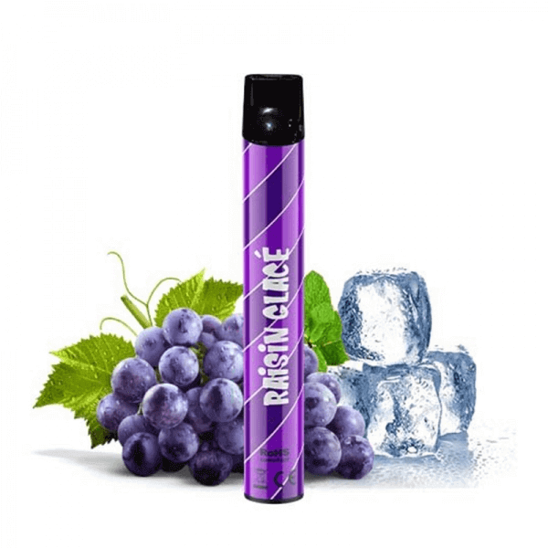 LIQUIDEO Pod Jetable Wpuff Raisin Glacé-0 mg-VAPEVO