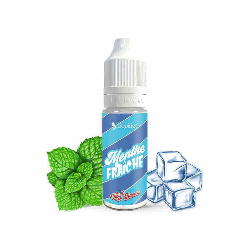 LIQUIDEO Wpuff Flavors Menthe Fraîche - E-liquide 10ml-VAPEVO