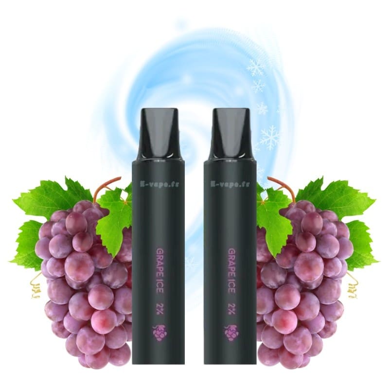 LOST VAPE Rebar Next C2 - Pack de 2 Cartouches 2 ml 600 Puffs-20 mg-Grape Ice-VAPEVO