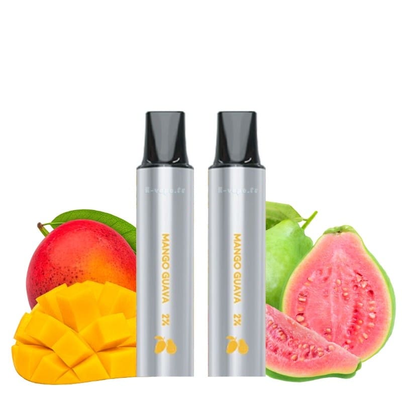 LOST VAPE Rebar Next C2 - Pack de 2 Cartouches 2 ml 600 Puffs-20 mg-Mango Guava-VAPEVO