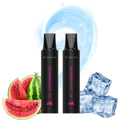 LOST VAPE Rebar Next C2 - Pack de 2 Cartouches 2 ml 600 Puffs-20 mg-Watermelon Ice-VAPEVO