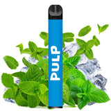 PULP Le Pod - Pod Jetable 600 Puffs-0 mg-MENTHE POLAIRE-VAPEVO