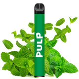 PULP Le Pod - Pod Jetable 600 Puffs-0 mg-MENTHE VERTE-VAPEVO