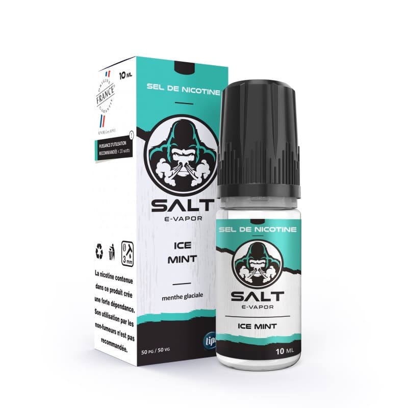 SALT E-VAPOR Ice Mint - Sel de nicotine 10ml-VAPEVO